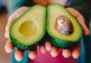 Health Benefits Of Avocado (One A Day Can Keep The Doctor Away) Health benefits of avocado