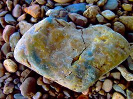 The Gray Rock Method For Handling A Narcissist (Scenarios & Techniques) gray rock method
