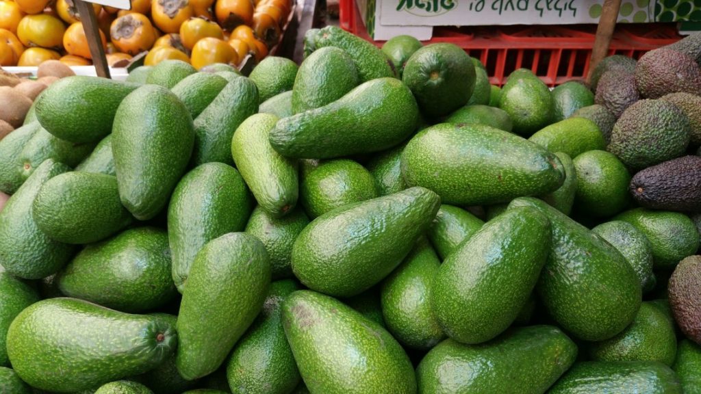 Are avocados healthy?