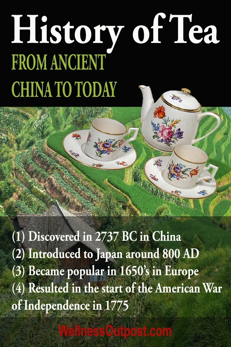 The history of tea