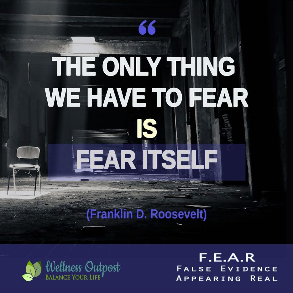 Roosevelt-quote-the-only-thing-we-have-to-fear-is-fear-itself
